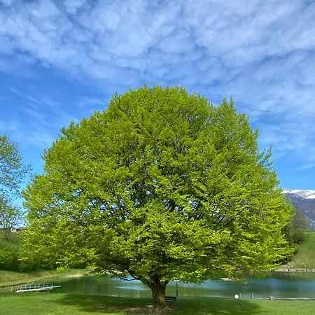 أبارتمينت هاوس سيروز