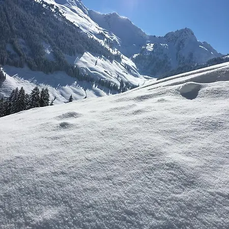 Appartement Haus Seerose