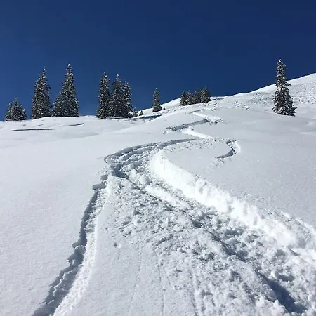 Appartement Haus Seerose Reith im Alpbachtal